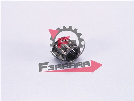 GABBIA BIELLA 12 17 15 PIAGGIO POLIN