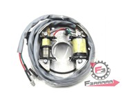 STATORE PIAGGIO APE TM 703/602