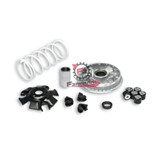 VARIATORE SUZUKI EPICURO 125 MALOSSI