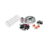 VARIATORE HONDA SH 125 09> MALOSSI