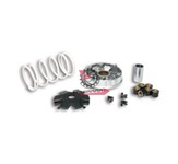 VARIATORE MALAGUTI DVD 50 4T MALOSSI