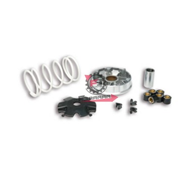 VARIATORE MALAGUTI DVD 50 4T MALOSSI