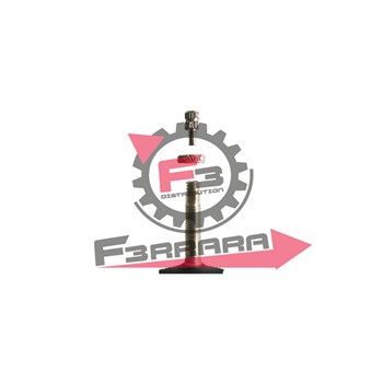 CAMERA 24 X 175 V/ITALIA MVTEK