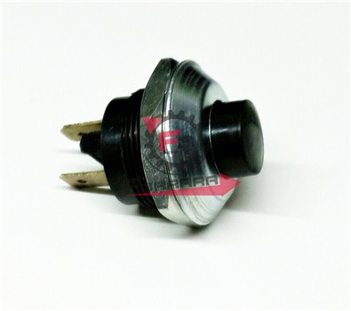 PULSANTE AVVIAMENTO APE MP 550/600