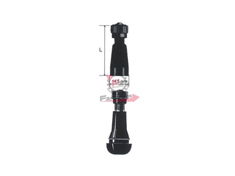 VALVOLA CERCHIO TUBELESS DRITTA