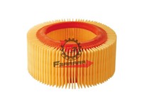 FILTRO ARIA TM703 BENZINA-APE CAR P2