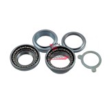 CALOTTE STERZO PIAGGIO SI- ZIP (SR)