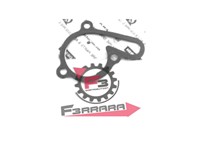 GUARNIZIONE POMPA H2O APRILIA RS 50