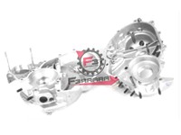 CARTER MOTORE APE 50 RST MIX '98