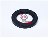 ANELLO DI TENUTA APE TM 703