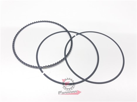 SEGMENTO RASCHIAOLIO PORTER MULTI