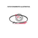 SEGMENTO 50,4X1,5 GR/ESTERNO POLINI