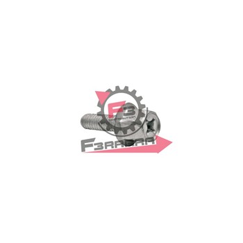 BULLONE MARMITTA F10-F12-F15 (20PZ)