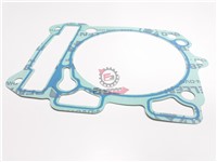 GUARNIZIONE CARTER CILINDRO SHIVER