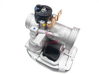 CORPO FARFALLATO VESPA GTS