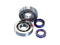 KIT REVISIONE BANCO PIAGGIO 50