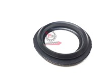 COLLARINO PORTER / QUARGO