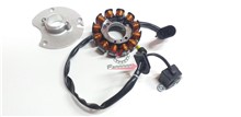 STATORE COMPLETO RS / RX - SX