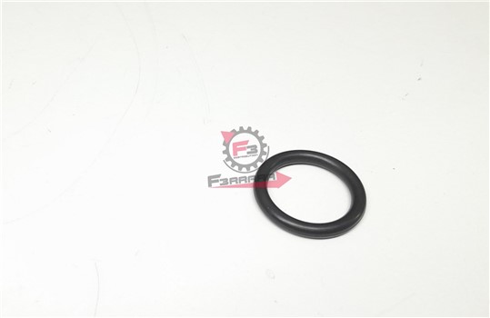 ANELLO O-RING PORTER BENZINA