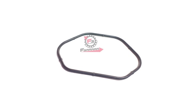 GUARNIZIONE COPERCHIO TESTA V.GTS