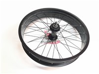 RUOTA 20 FAT BIKE ANTERIORE DISCO